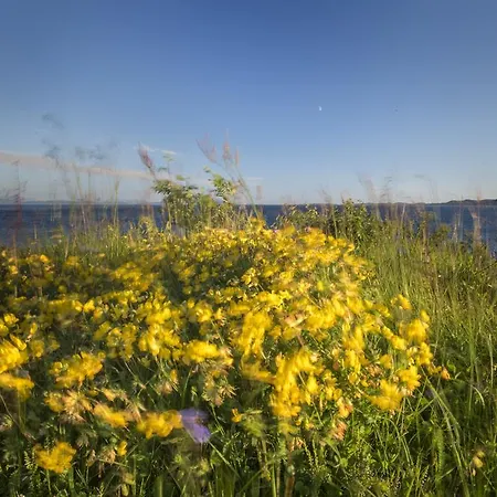 Villa Vestfjord Panorama Lodingen