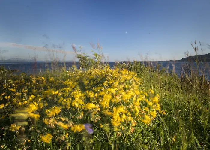 Villa Vestfjord Panorama Lodingen