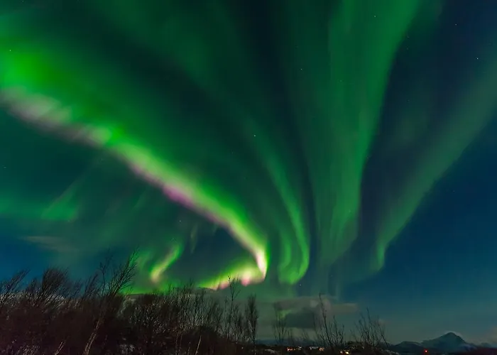 Vestfjord Panorama לודינגן